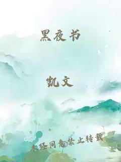 黑夜书