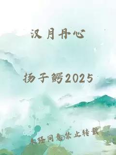 汉月丹心
